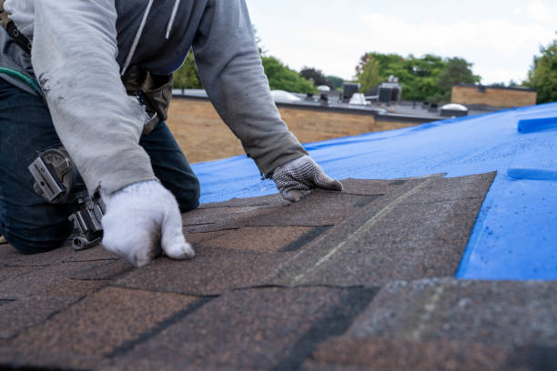 Best Roof Installation  in Maan, ND